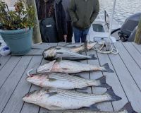 316834532 130889636442217 n