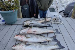 316834532 130889636442217 n