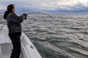 342648769 236935168926632 n