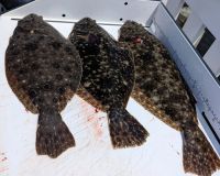 344998609 6442266179176457 n