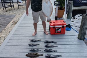 348322608 217336434464203 n