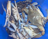 518073845 692732910257884 n